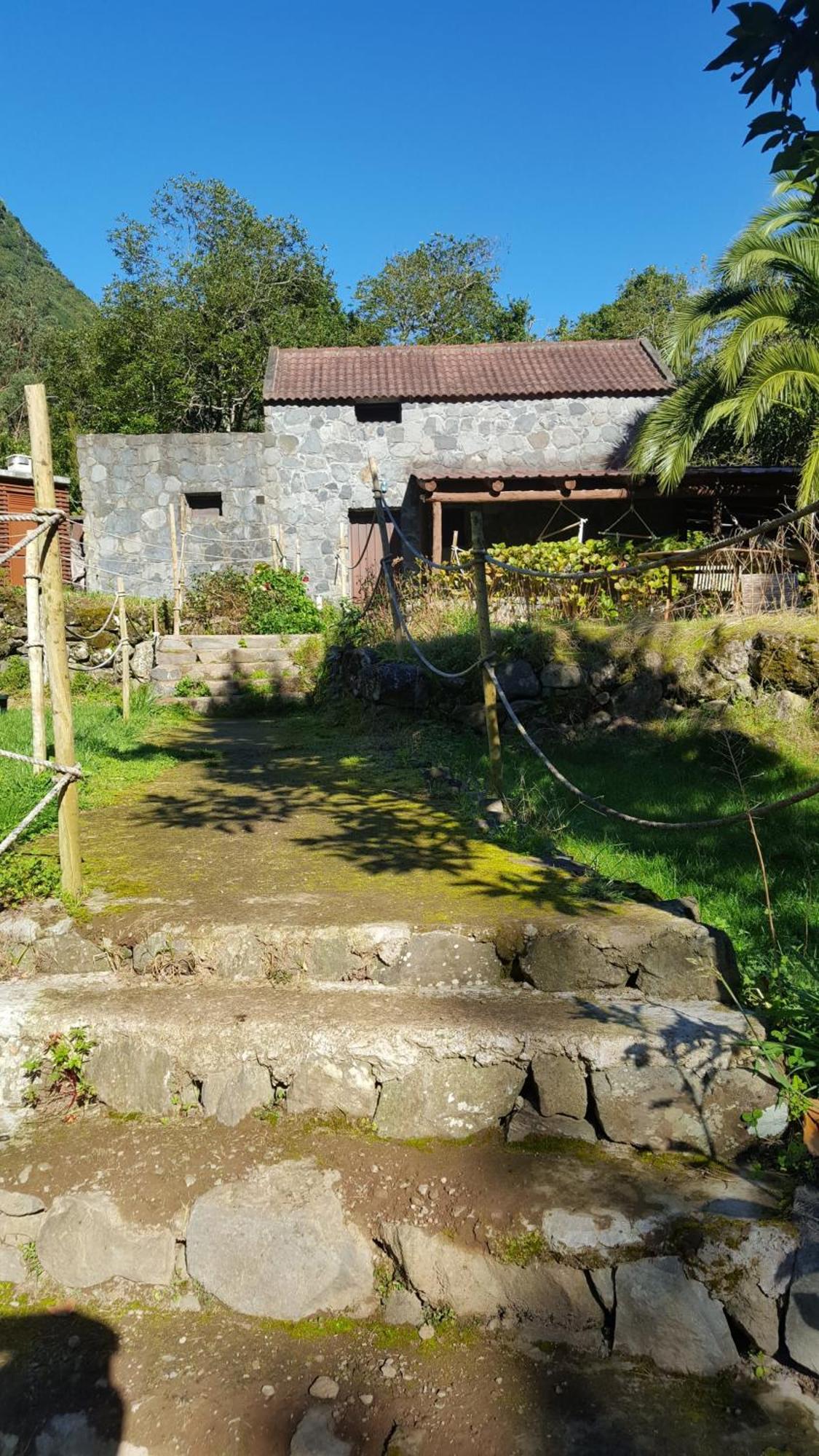 Nature Retreat - Laurel Forest Seixal  Exterior photo