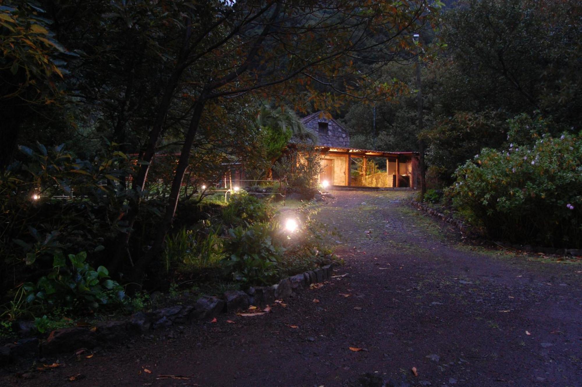 Nature Retreat - Laurel Forest Seixal  Exterior photo